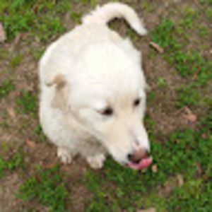 Meet your Posher, Fabulous